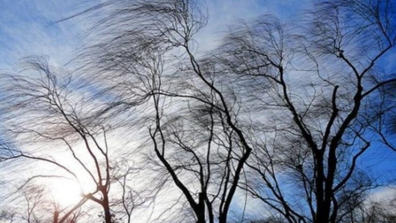 Синоптики попередили про сильний вітер та заморозки в Україні