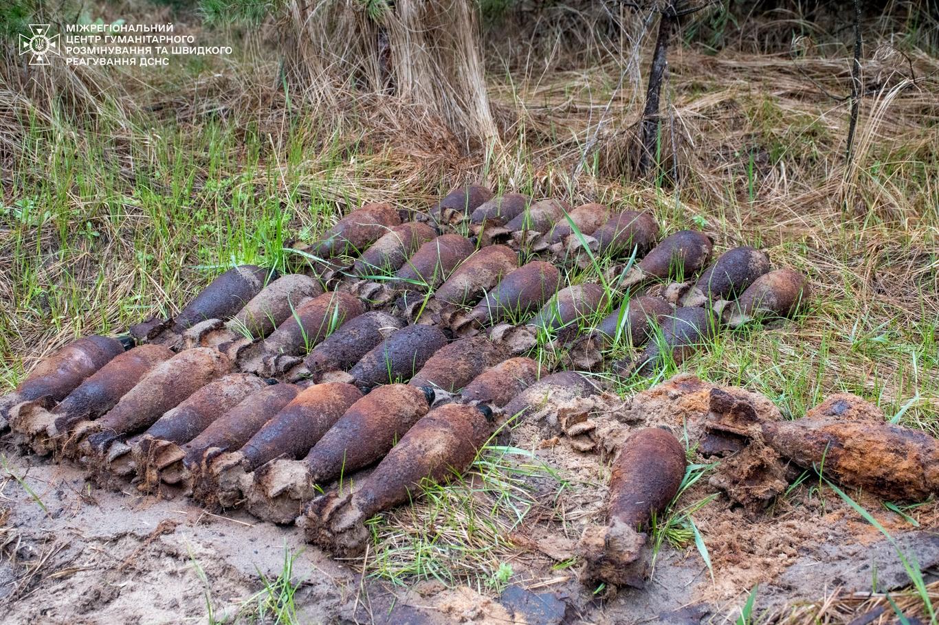На Харківщині сапери ДСНС вилучили 43 боєприпаси часів Другої світової війни (ФОТО)