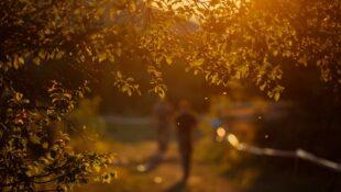 Як принцип «нейтральності» блокує психологічну підтримку військових в Україні