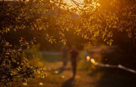 Як принцип «нейтральності» блокує психологічну підтримку військових в Україні