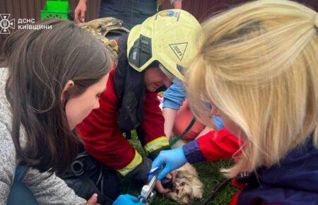 37 ракет і 542 дрони — Повітряні сили про  удар РФ по Україні 3 квітня