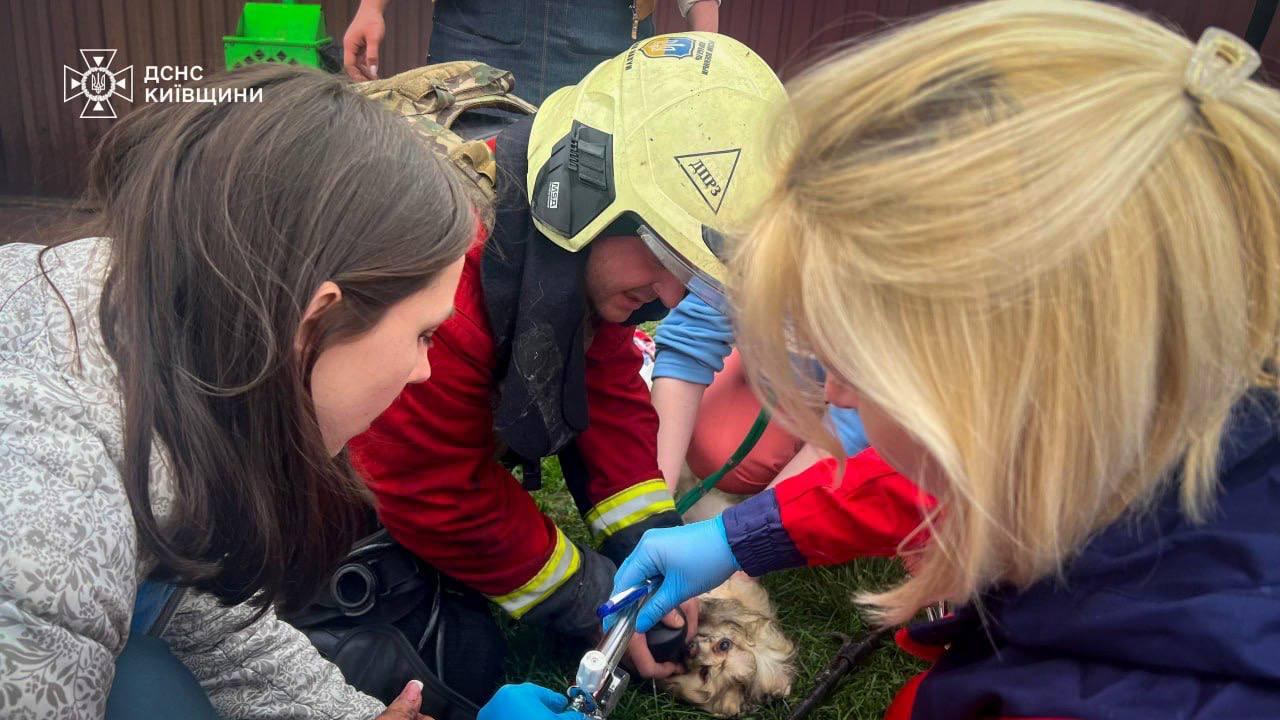 37 ракет і 542 дрони — Повітряні сили про  удар РФ по Україні 3 квітня