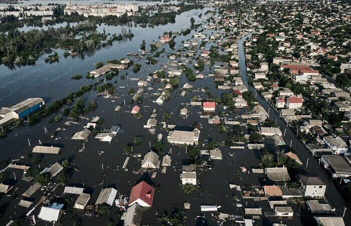 «Росія дійсно знищує все живе на своєму шляху»: як окупанти чинять екоцид в Україні