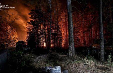 У Зоні відчуження на Київщині триває ліквідація масштабної лісової пожежі (ФОТО)