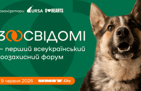 «Із 2022 року притулки переповнені, ми шукаємо методи прилаштування тварин»: про форум «Зоосвідомі» та зоозахист в Україні
