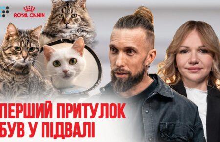 Евакуація безпритульних тварин, правильне харчування і догляд за котами: як працює котель в Ірпені