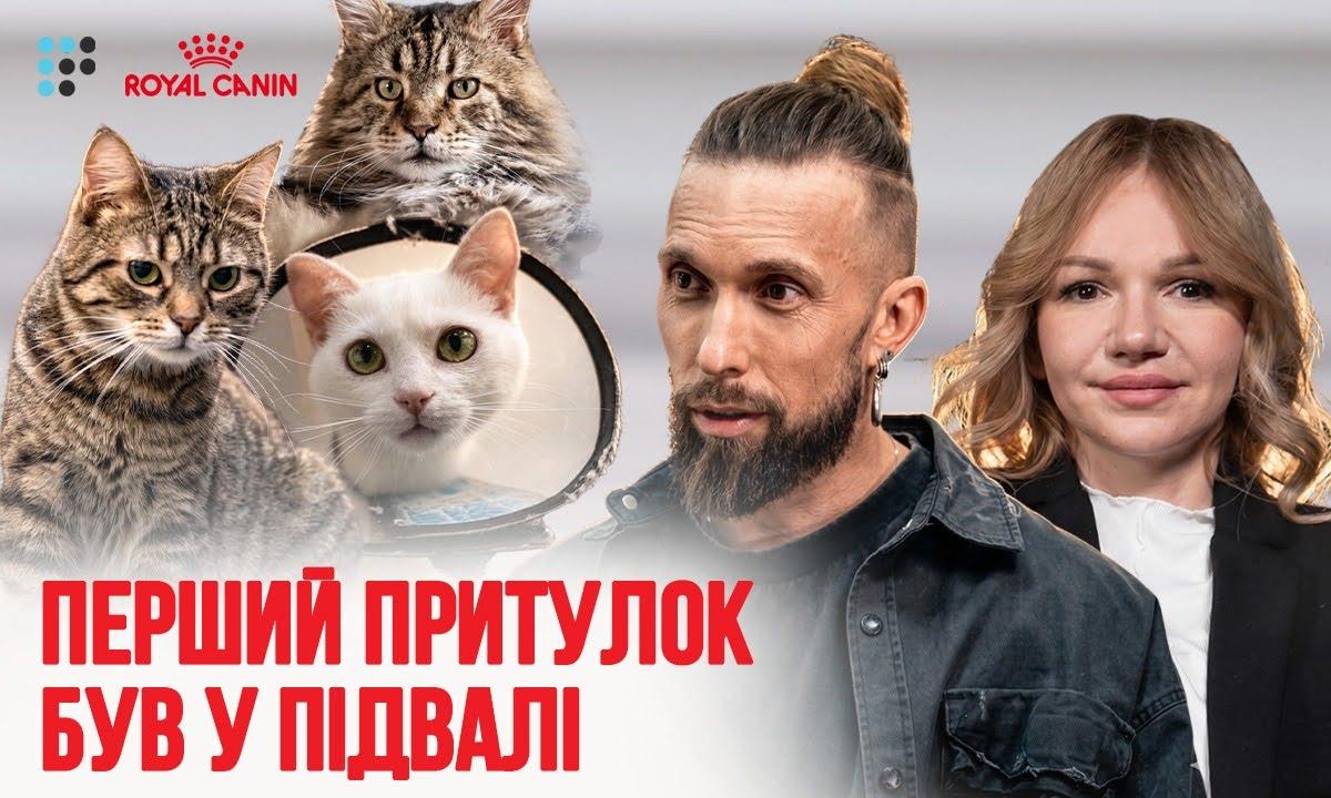 Евакуація безпритульних тварин, правильне харчування і догляд за котами: як працює котель в Ірпені