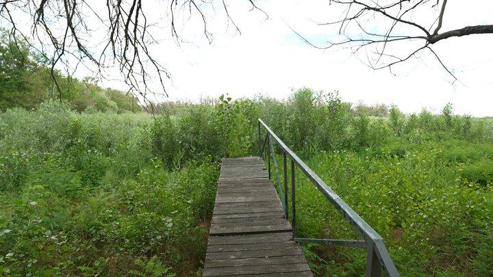 Територію «Великого Лугу» пропонують внести до списку ЮНЕСКО
