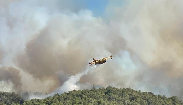 У Франції через лісову пожежу евакуюють жителів поблизу Фонтенбло