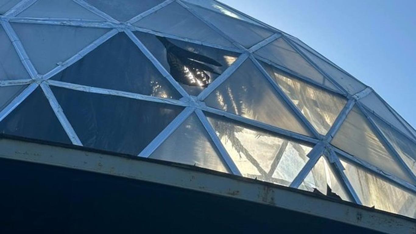 Київський зоопарк зазнав пошкоджень через російський обстріл, постраждали тварини (ФОТО)