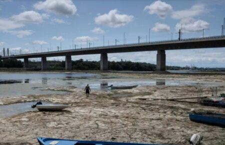 Падіння рівня води в Дунаї оголило кістки мамонта в Болгарії