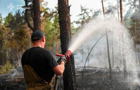 У Чорнобильській зоні локалізували пожежу лісової підстилки