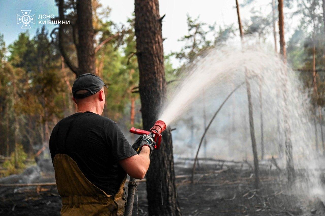 У Чорнобильській зоні локалізували пожежу лісової підстилки