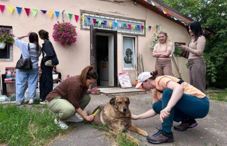 Не лише прибирання: у притулку для тварин Gostomel shelter провели великий день волонтерства