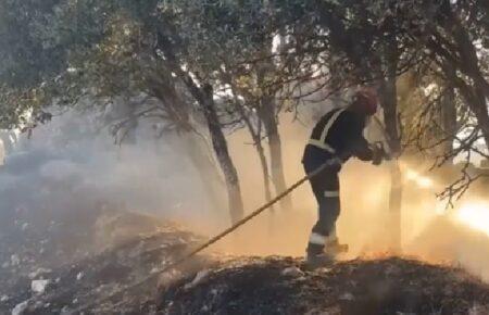 На грецькому острові Парос вирує лісова пожежа