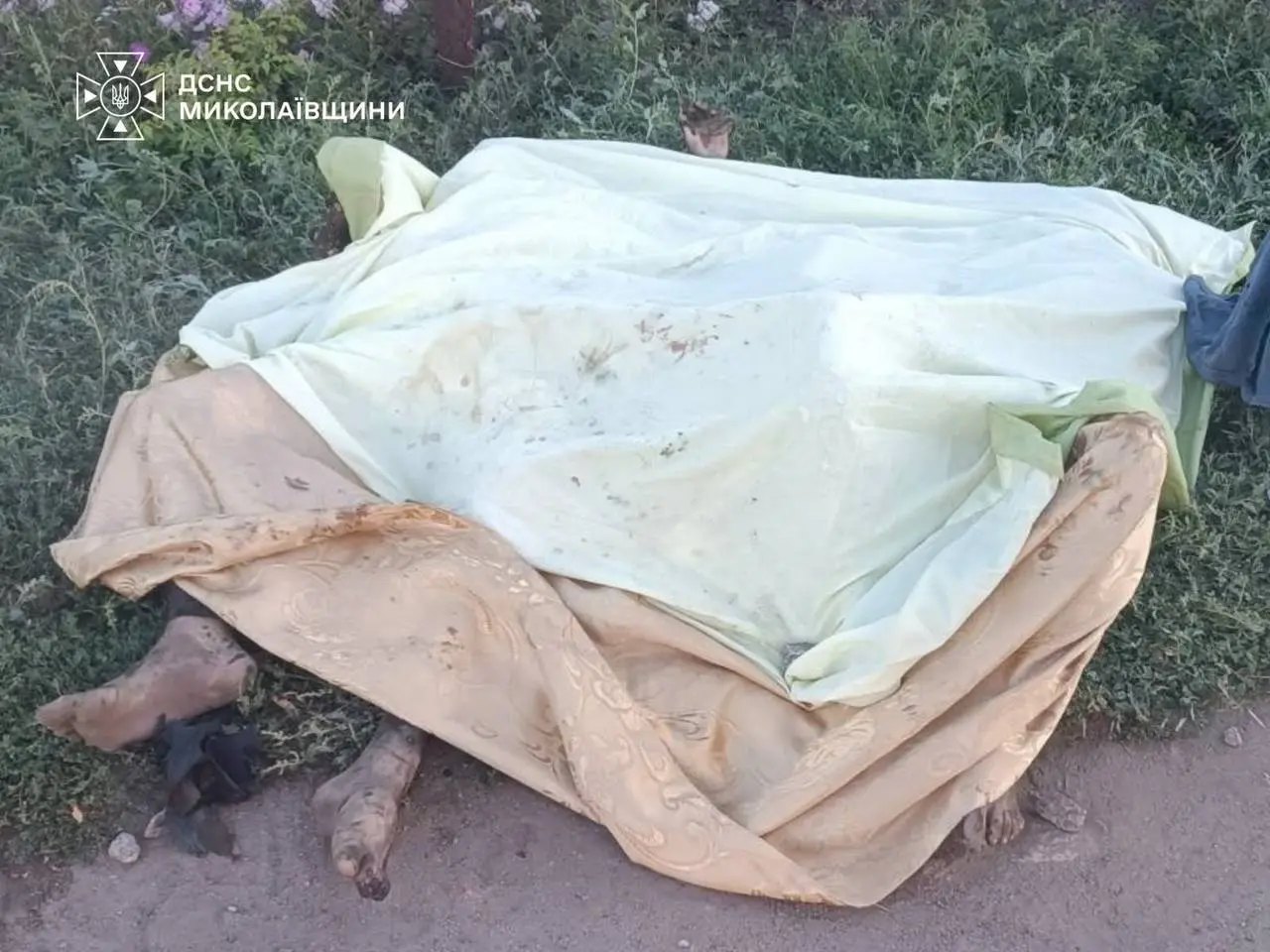 Росіяни вбили трьох дітей та одного дорослого під час удару «шахедом» по Миколаївщині (ФОТО)