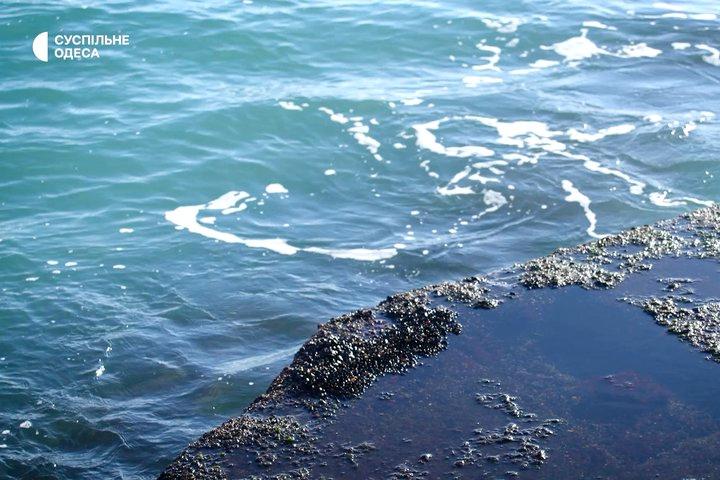 Аграрії заявили про критичну ситуацію через блокаду моря