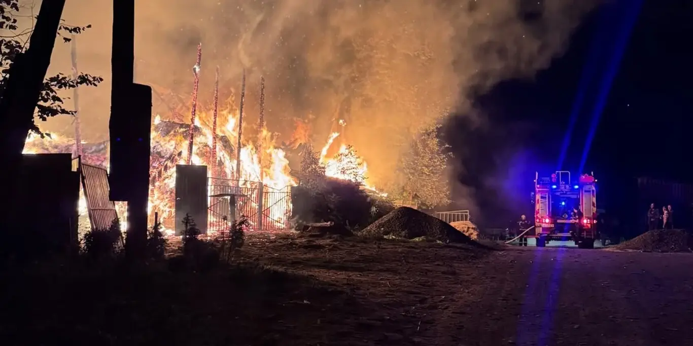 В соцмережах поширили відео, як поліція привезла нібито військового ТЦК на виклик про пожежу: адвокат проаналізував сторінку авторки