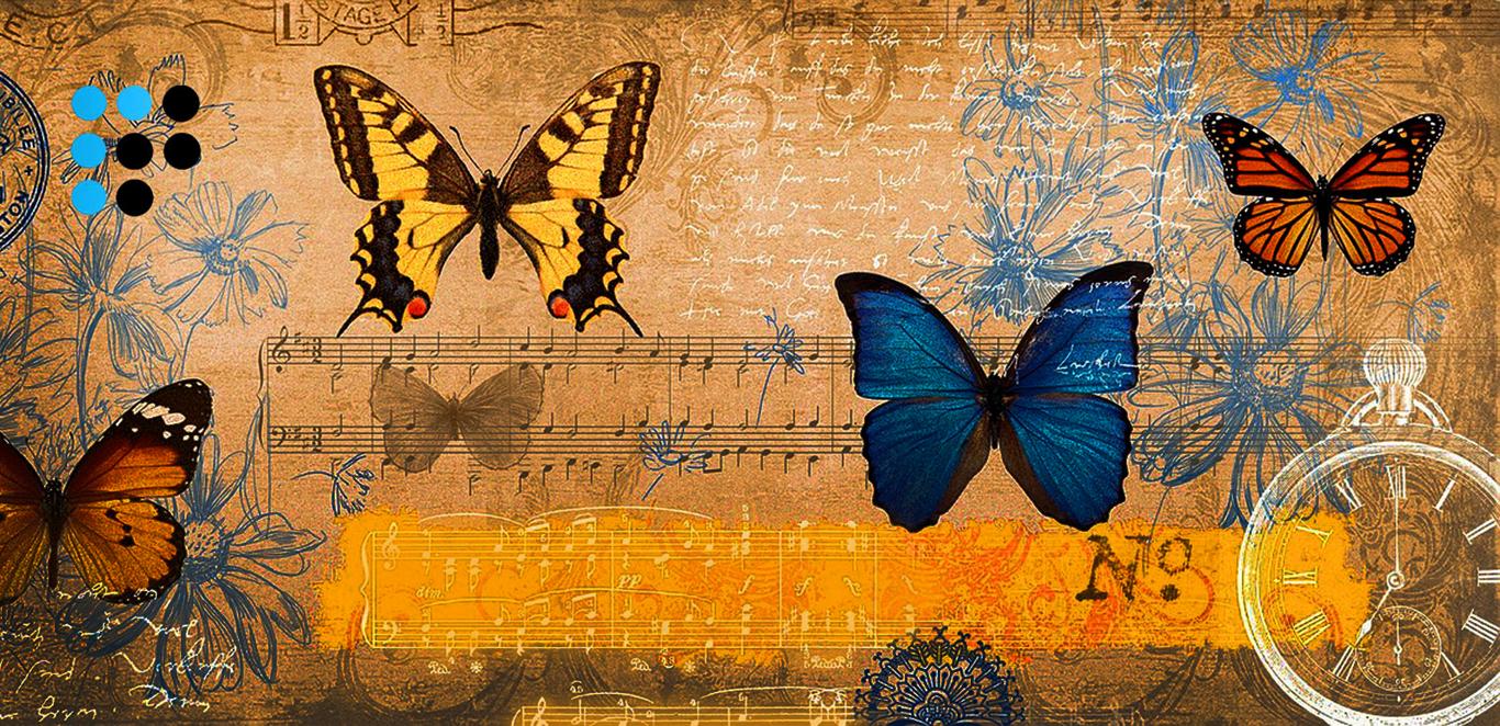 «Ранкова хвиля». Ефір 1 лютого. Частина перша