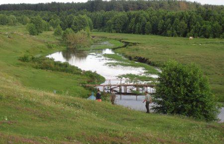 У заказнику на Волині масово вирубують ліс — природознавець