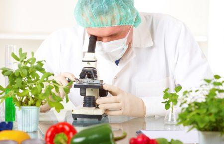 Що означає оновлений закон про державний контроль харчових продуктів