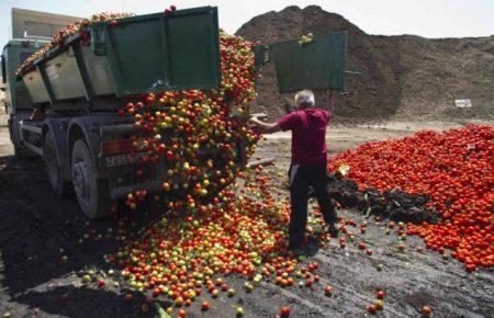Приблизно 17 тис. тонн імпортованої продукції знищили в Росії за два роки
