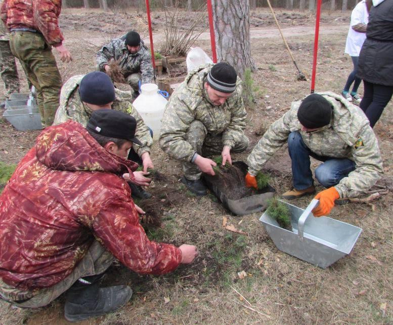 На Чернігівщині висадили Алею воїнів АТО