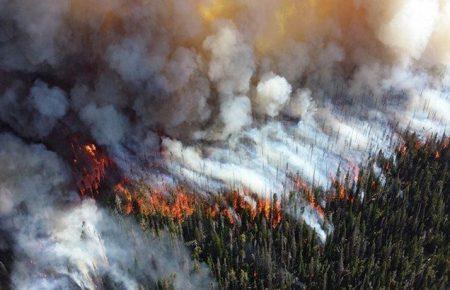 У російському МНС назвали причину масштабних пожеж у Сибіру