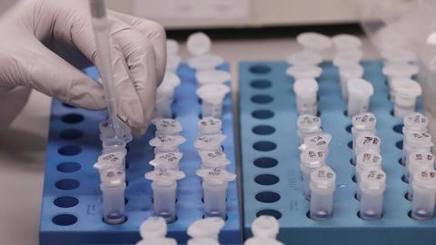 В Україні перевіряють на коронавірус двох людей, прибулих з Італії