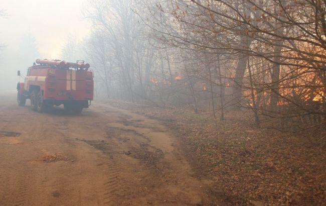 У Чорнобильській зоні відчуження гасять осередки тління — ДСНС