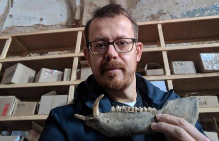 Доля комахи, названої в честь Гітлера, і що спільного у птахів з динозаврами? Розмова з біологом Леонідом Горобцем