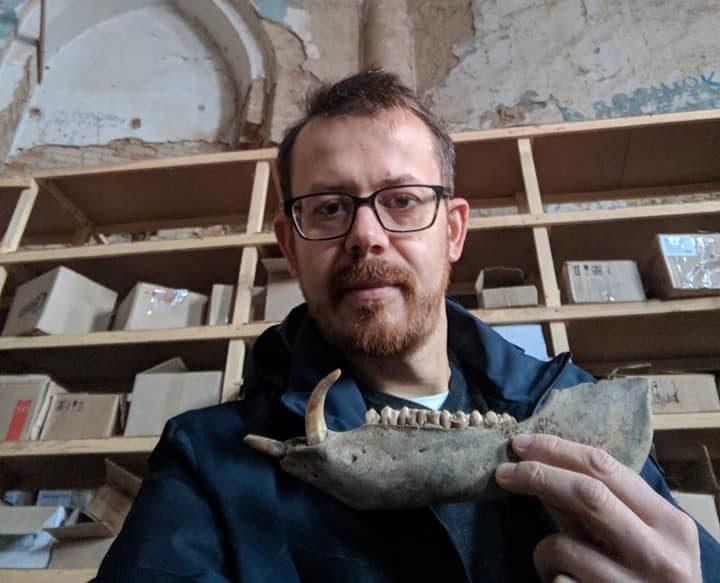 Доля комахи, названої в честь Гітлера, і що спільного у птахів з динозаврами? Розмова з біологом Леонідом Горобцем