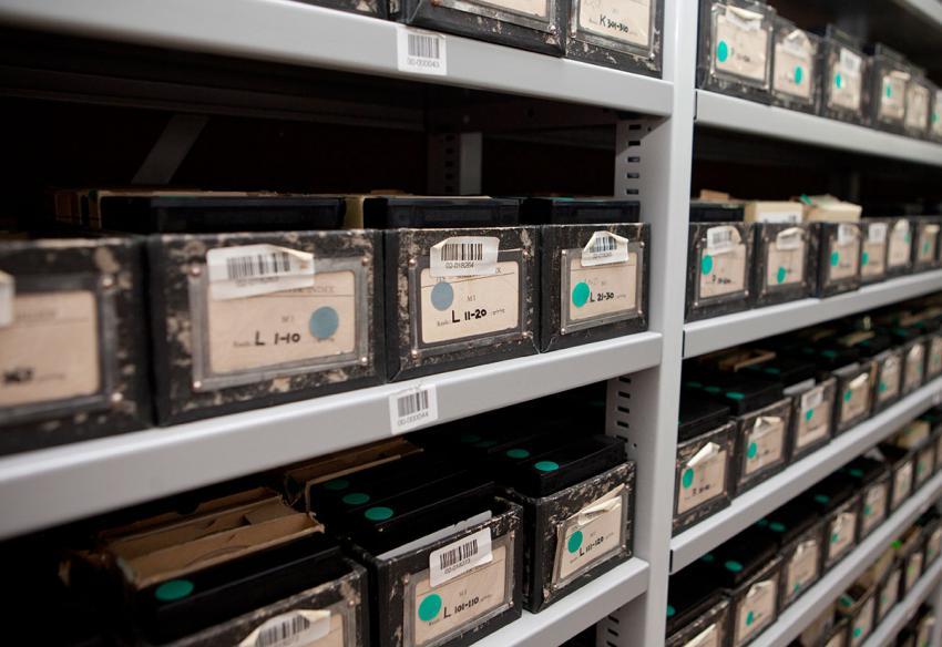 Украинский мемориал «Бабий Яр» и израильский «Яд Вашем» заявили о начале сотрудничества