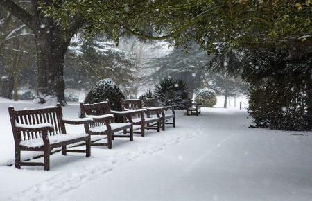 В Україну йдуть сніг і морози, — говоримо про «нормальну зиму»