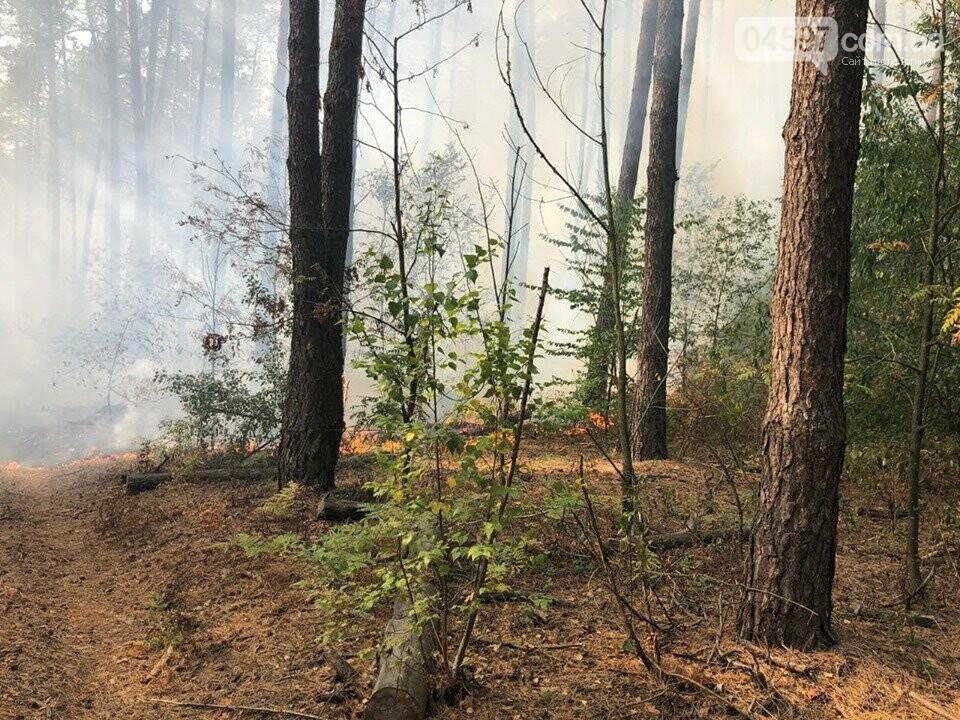 ДСНС попереджає про пожежну небезпеку