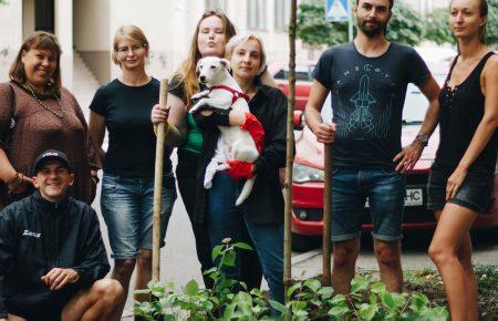 «Сафарі для громад» навчить українців будувати будиночки для комах і кажанів