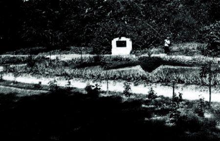 Більшовики чи жертви їхніх розстрілів: на чиїх похованнях встановили сцену у Маріїнському парку?