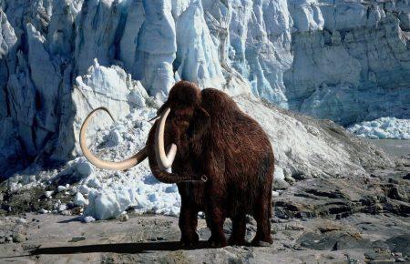 Американська компанія Colossal зібрала $15 млн для відродження мамонтів: чи здатна на це генна інженерія?