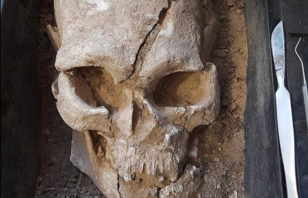 На Мамай-Горі археологи знайшли череп віком 7 тисяч років
