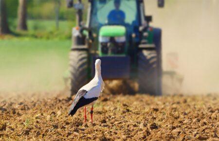 Якщо через війну посівна в Україні провалиться, світові ціни на зернові зростуть на 40–50% — Ніколайчук