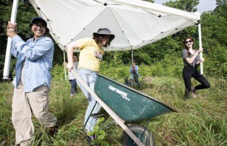 Студенти допомогли археологам знайти цінні історичні артефакти