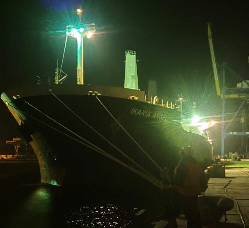 Із українських портів вийшли 12 суден із зерном до країн Африки, Азії та Європи