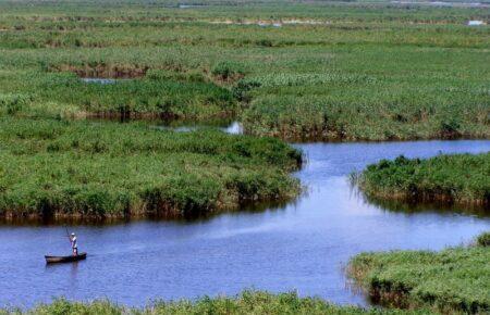 На Одещині загасили пожежу у Дунайському біосферному заповіднику