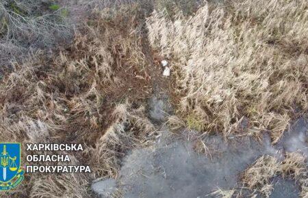 Батько із малолітнім сином підірвалися на міні у лісі на Харківщині (ФОТО)