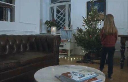 Прем'єр Британії опублікував різдвяний ролик на підтримку України (ВІДЕО)