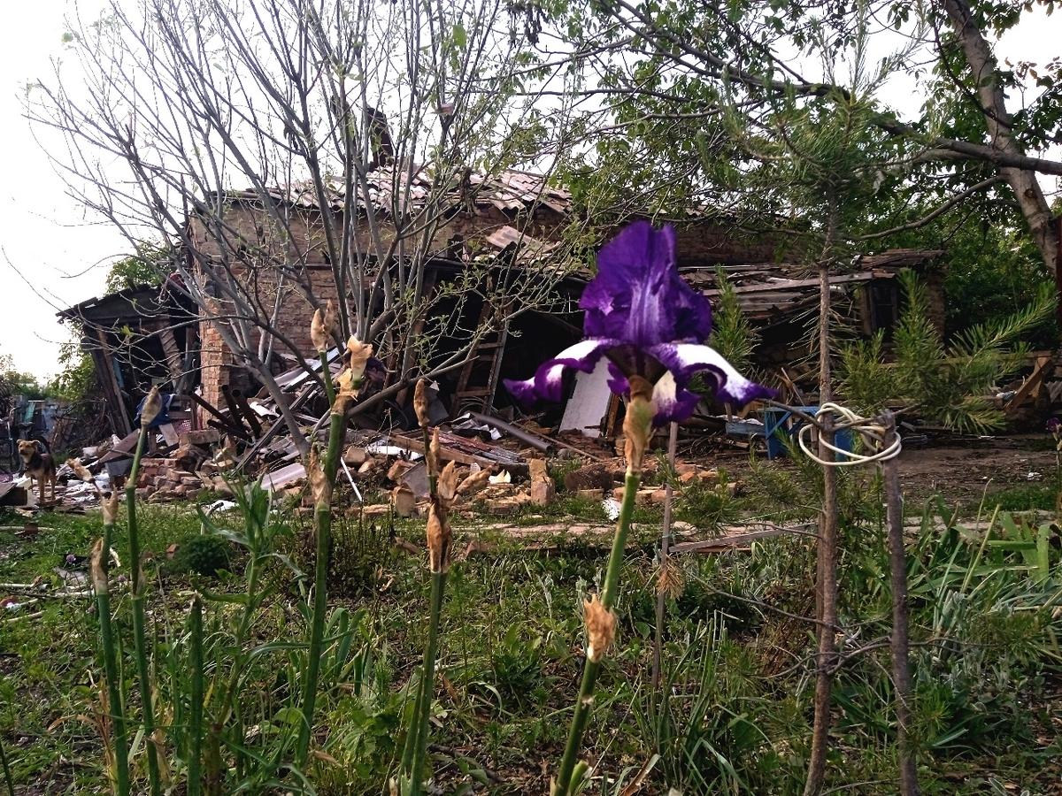 Усі атаки і мільярди, витрачені росіянами, не похитнули віру українців у необхідність боротьби — соцдослідження