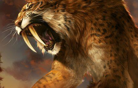 Вперше в історії: в Айові у США знайшли череп шаблезубого кота віком понад 13 000 років (ФОТО)