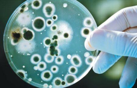 Лікарка розповіла, які інфекційні захворювання активізуються після затоплення територій