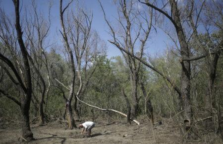 Румунія посилює свої сили ППО у басейні Дунаю