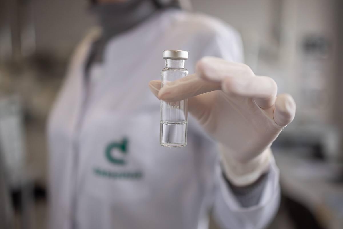 Герої серед нас: як «Дарниця» відзначає відданих професії фармацевтів